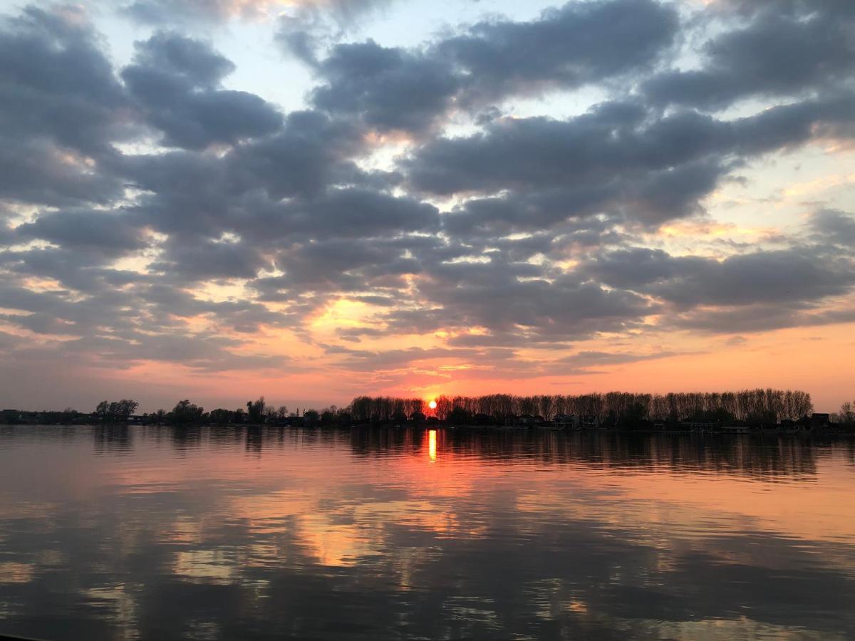 Sagando - Floating House On Sava River Beograd Bagian luar foto